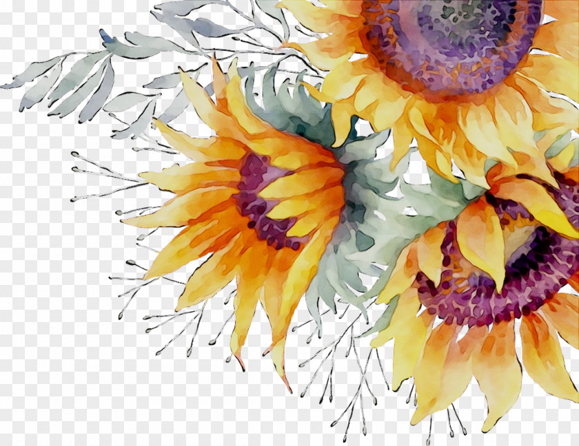 Common Sunflower Floral Design Cut Flowers Pot Marigold Watercolor Painting PNG