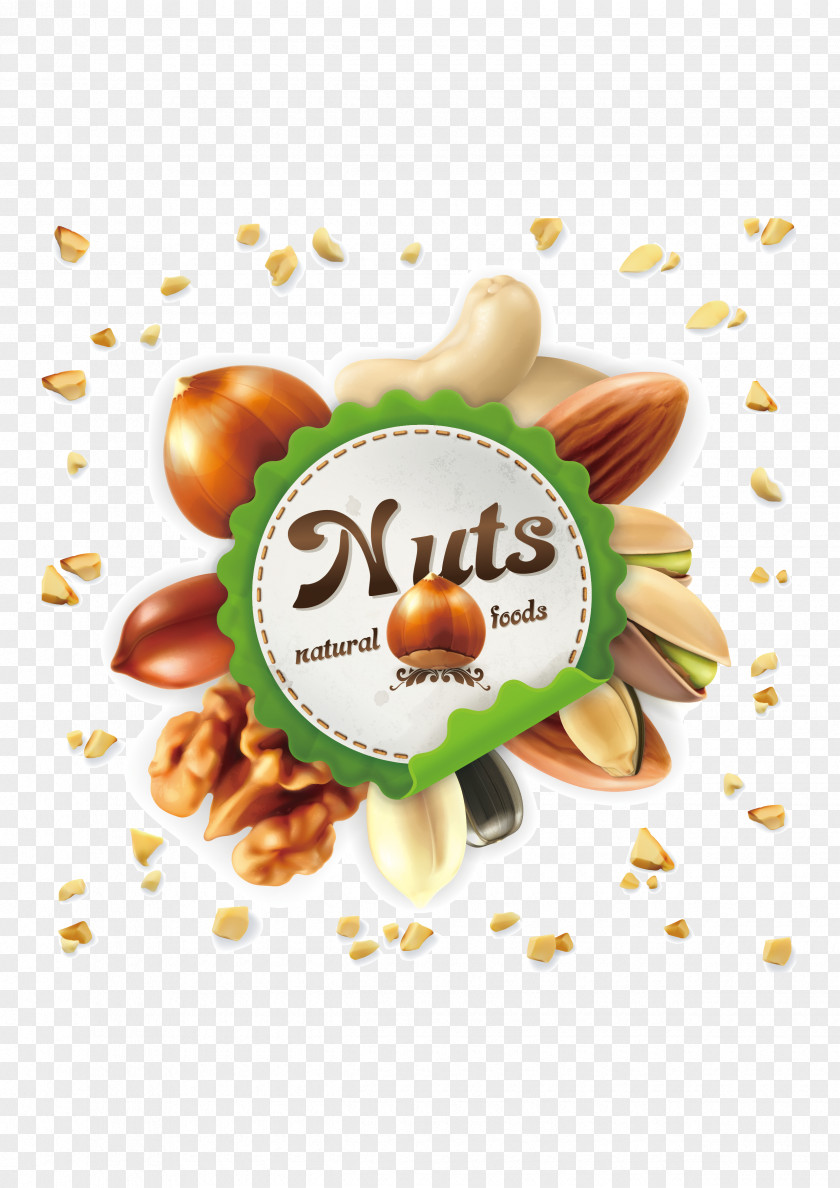 Creative Nuts Nucule Mixed Euclidean Vector Stock Photography PNG