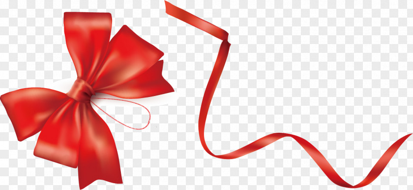 Cute Ribbon Bow Vector Discounts And Allowances Earring Net D Shop Gift PNG