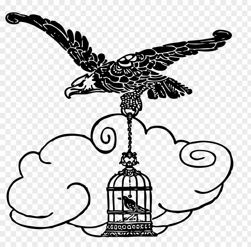 Eagle Sketch Clip Art PNG