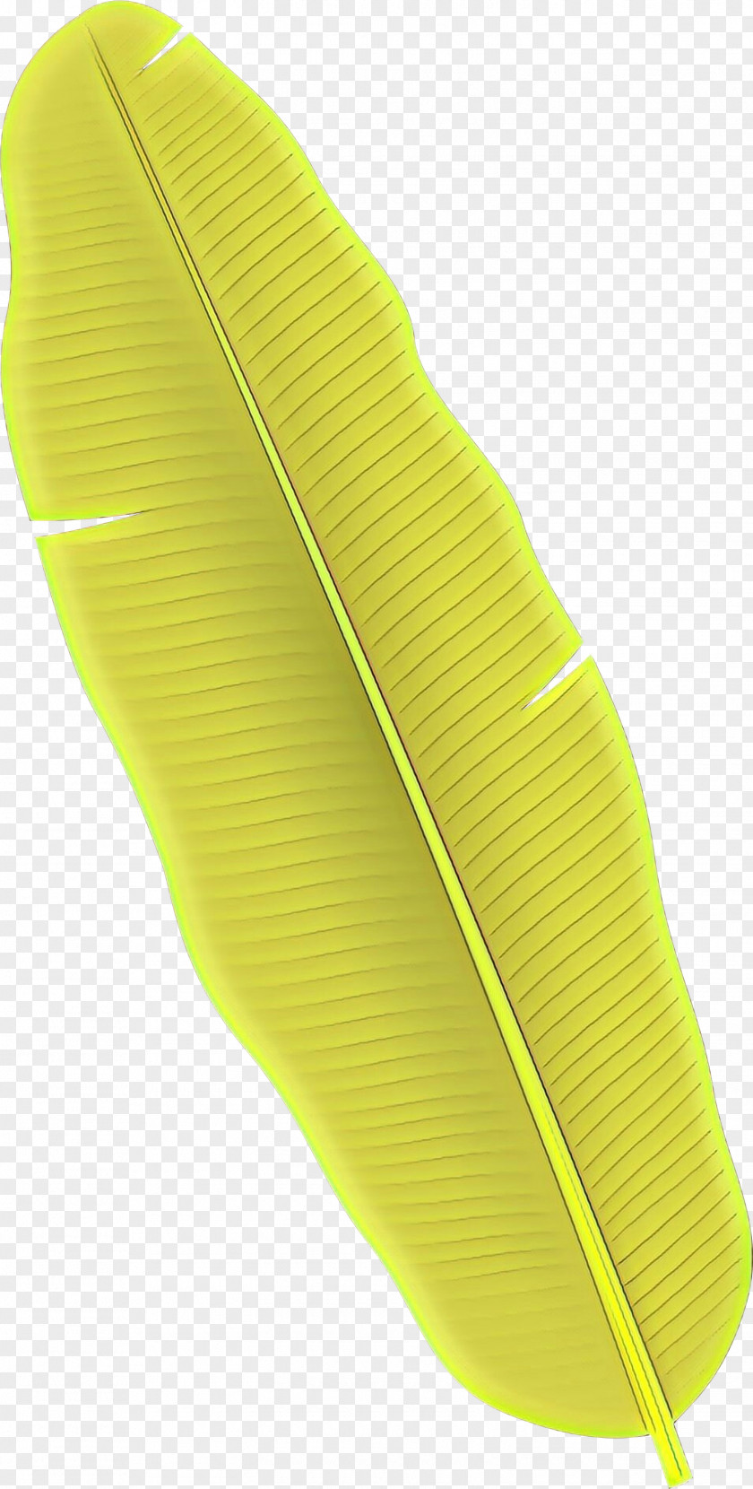 Fashion Accessory Green Yellow PNG