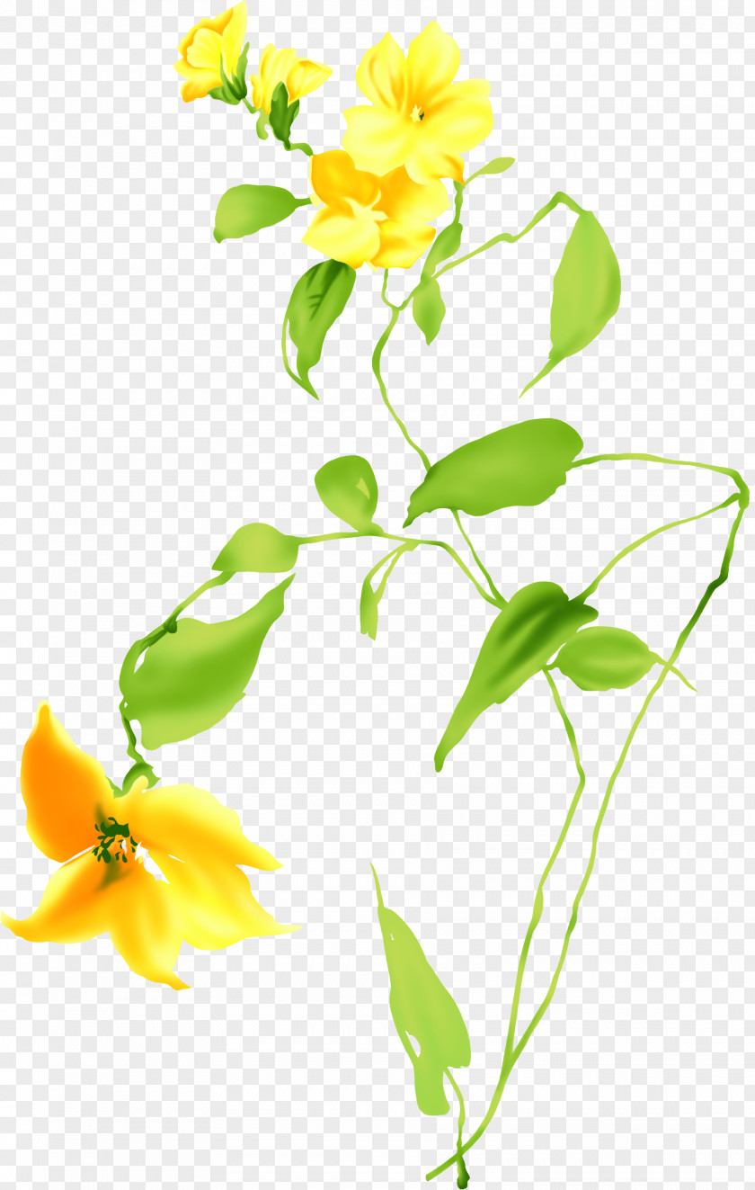Flower Cut Flowers Yellow Plant Clip Art PNG