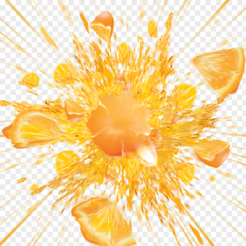 Fruit Juice Orange PNG