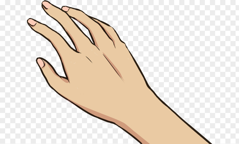 Hand Thumb Image Drawing PNG