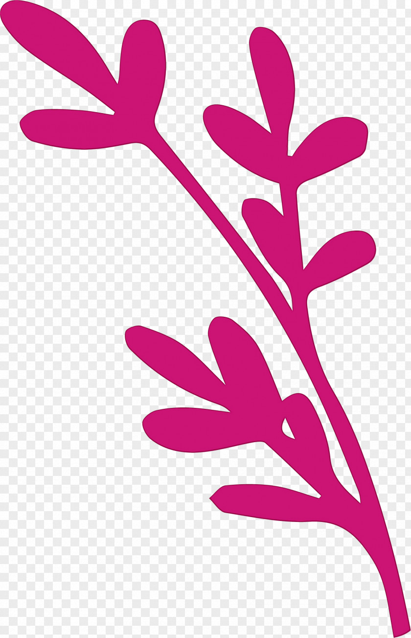 Plant Stem Branch Leaf Petal Pink M PNG