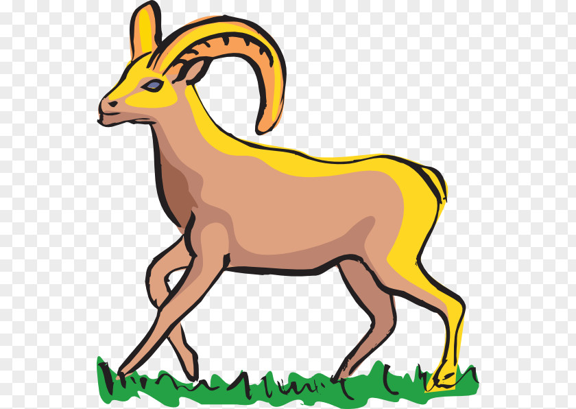 Sheep Bighorn Clip Art PNG