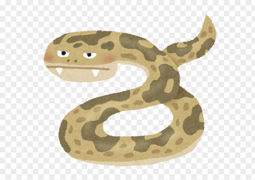 Snake Venom Habu Venomous Okinawa Prefecture PNG
