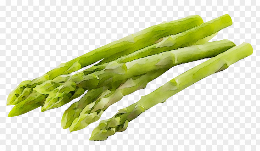 Asparagus Negative-calorie Food Nutrient Health PNG