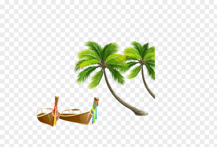 Coconut Tree Arecaceae Illustration PNG