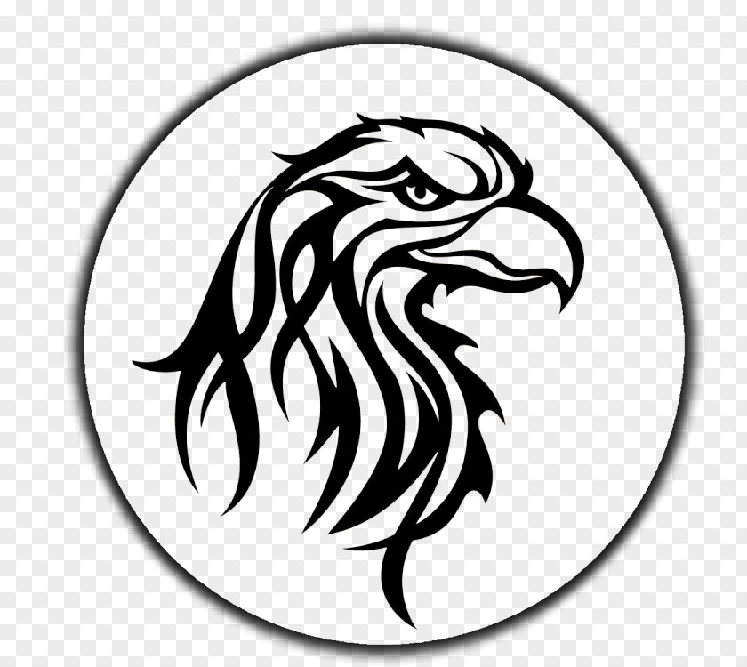 Eagle Bird Clip Art PNG