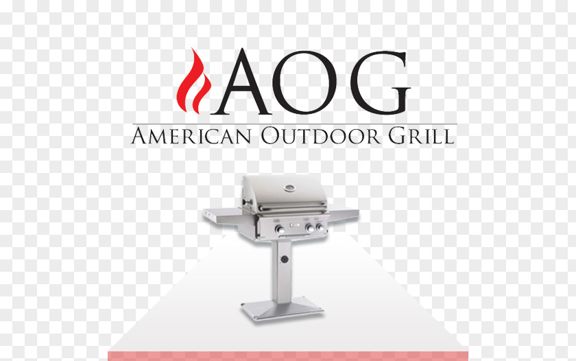 Grill Flame Barbecue Grilling Weber-Stephen Products Chef Cooking PNG