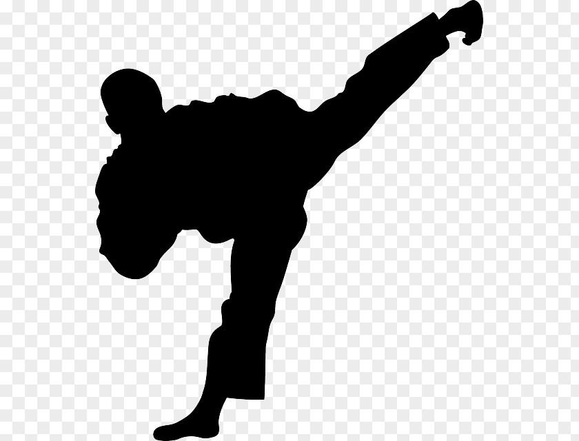 Karate World Taekwondo Martial Arts Clip Art PNG