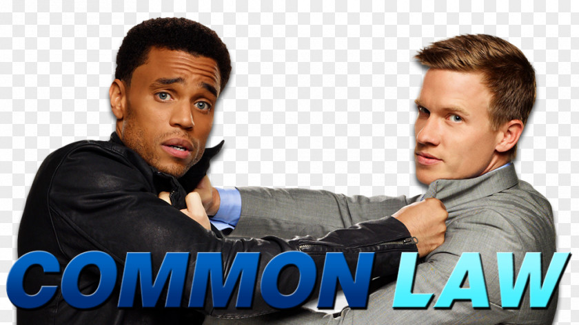 Zimmer Michael Ealy Common Law Warren Kole United States Television Show PNG