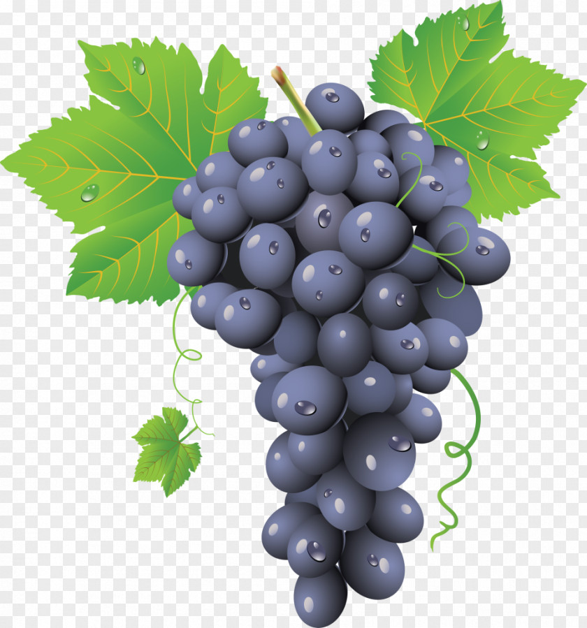 Cauliflower Common Grape Vine Red Wine PNG