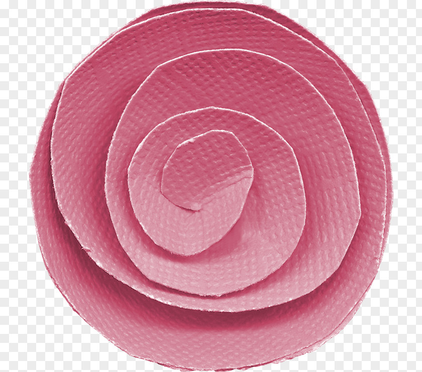 Circle Pink M PNG