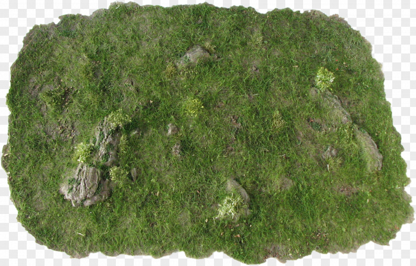 Dry Twigs Wargaming Miniature Figure Mat Rock PNG