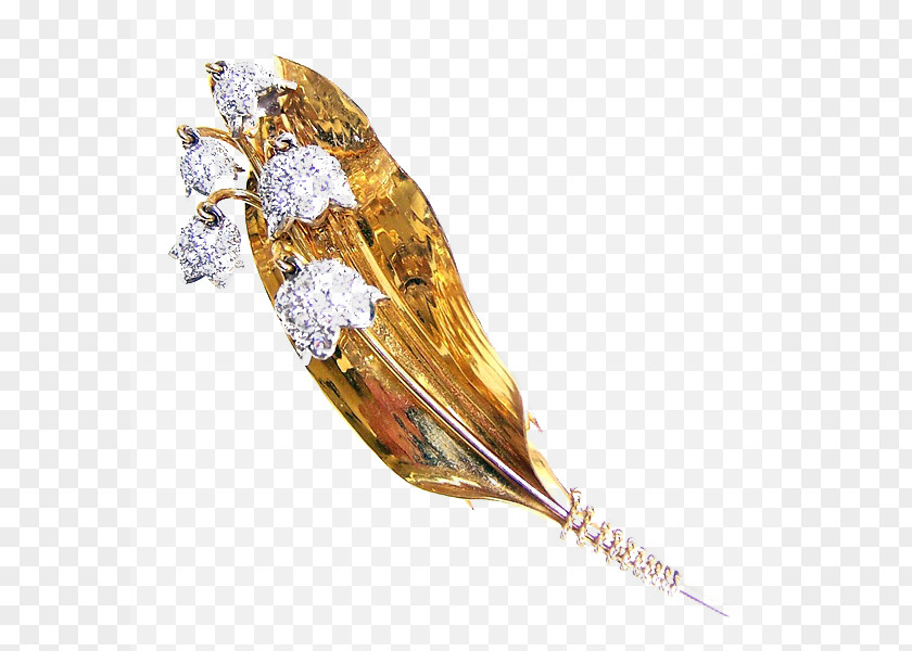 Goose Feather Brooch Lily Of The Valley Flower Lilium Vole PNG