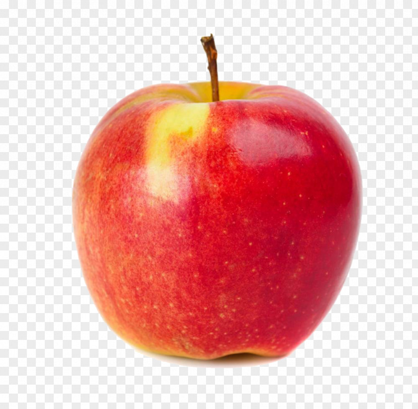 Red Apple Photography PNG