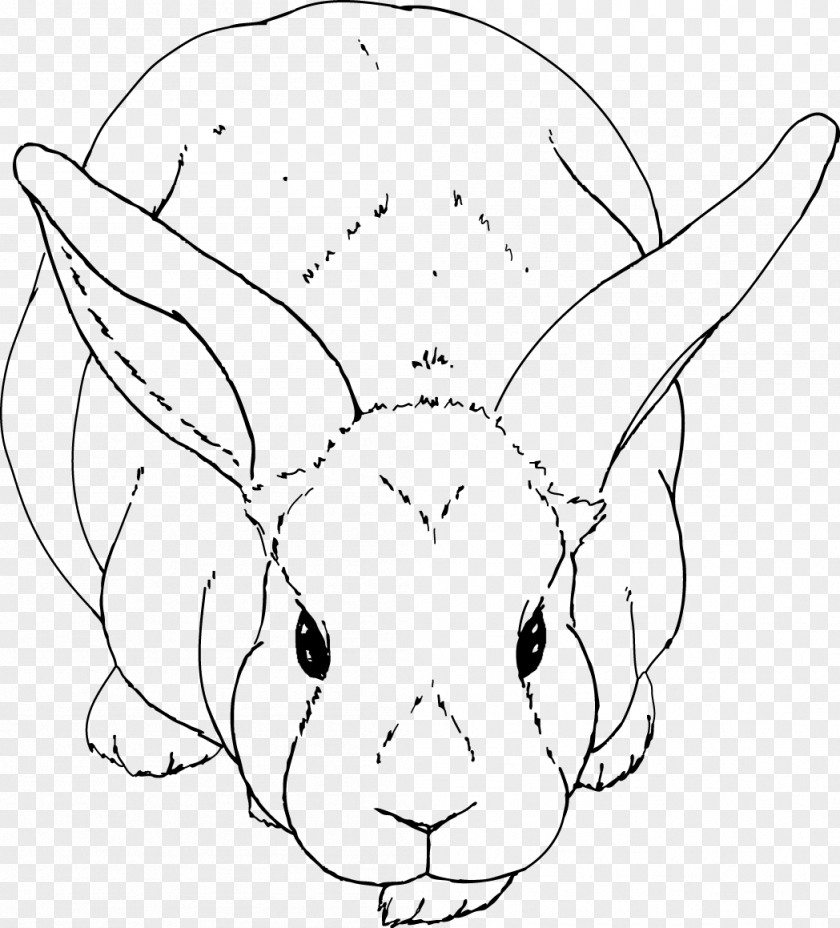 Shih Tzu Pattern Domestic Rabbit European Drawing Line Art PNG