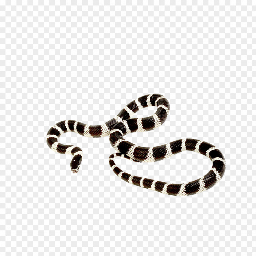 Snake California Kingsnake Ball Python Corn Reptile PNG