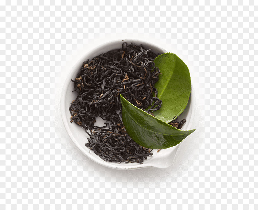 Tea Green Gyokuro Kombucha Black PNG