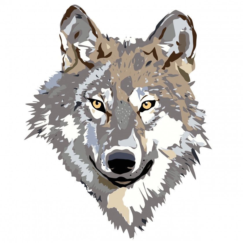 Wolf Gray Coyote Clip Art PNG