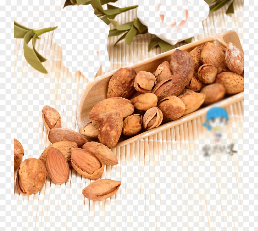 Almond Background Nut Food Icon PNG
