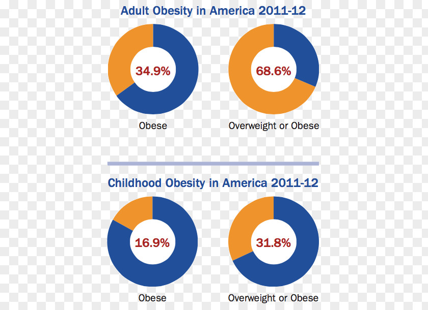 Childhood Obesity Fast Food Diet And Disease PNG
