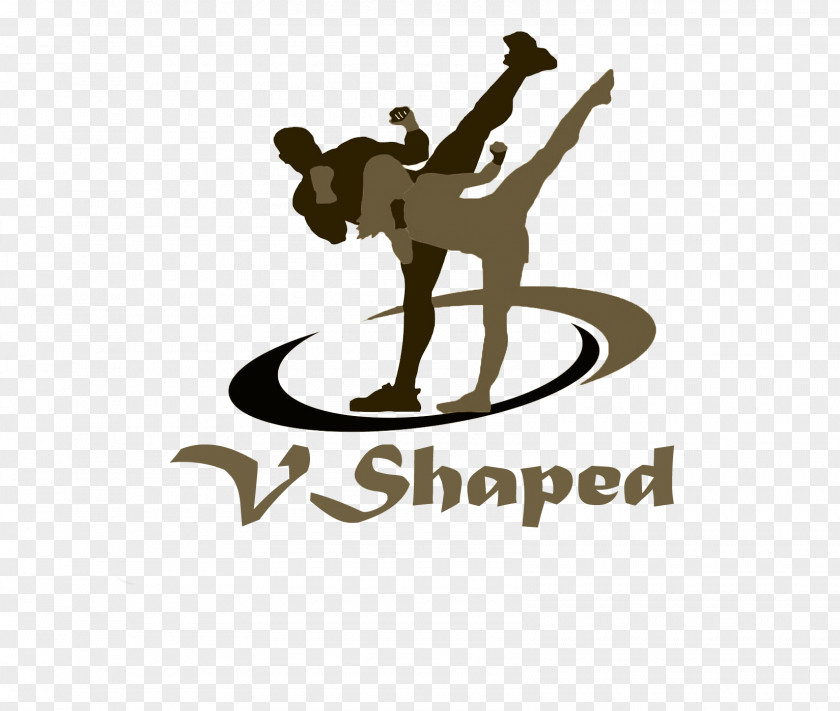 V Shape Tae Bo Shell Shock Fitness Exercise Physical Boot Camp PNG