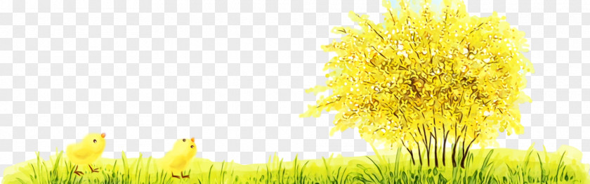 Wildflower Flower Yellow Grass Dandelion Plant PNG