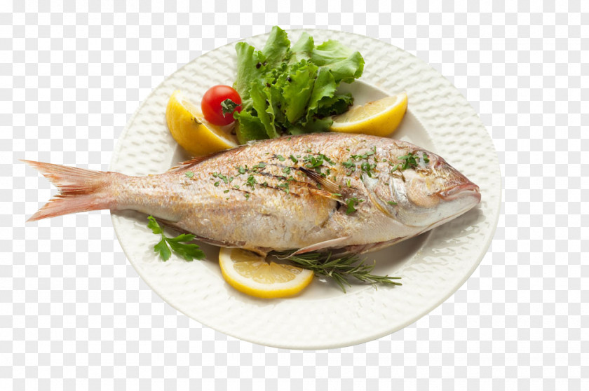 A Delicious Fish HD Photo Material Seafood Fried Nutrient PNG