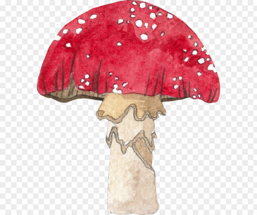 Agaric Fungus Mushroom Cartoon PNG