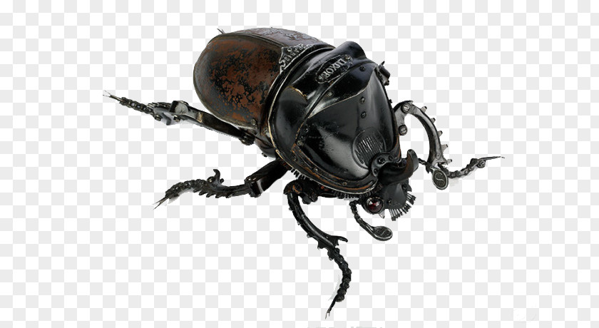 Black Beetle Insect Sculpture Metal Scrap Recycling PNG