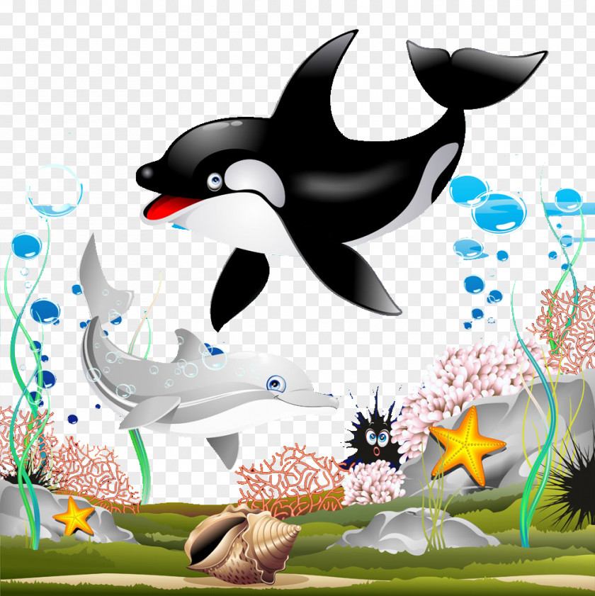 Dolphin Couple Killer Whale Cartoon Clip Art PNG