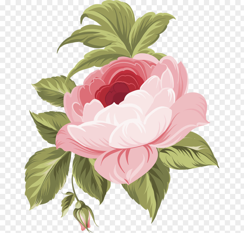 Flower Floral Design Rose PNG