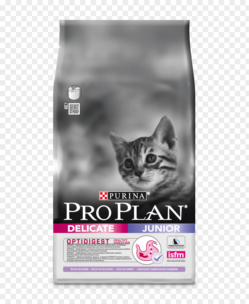 Kitten Cat Food Nestlé Purina PetCare Company Fodder PNG