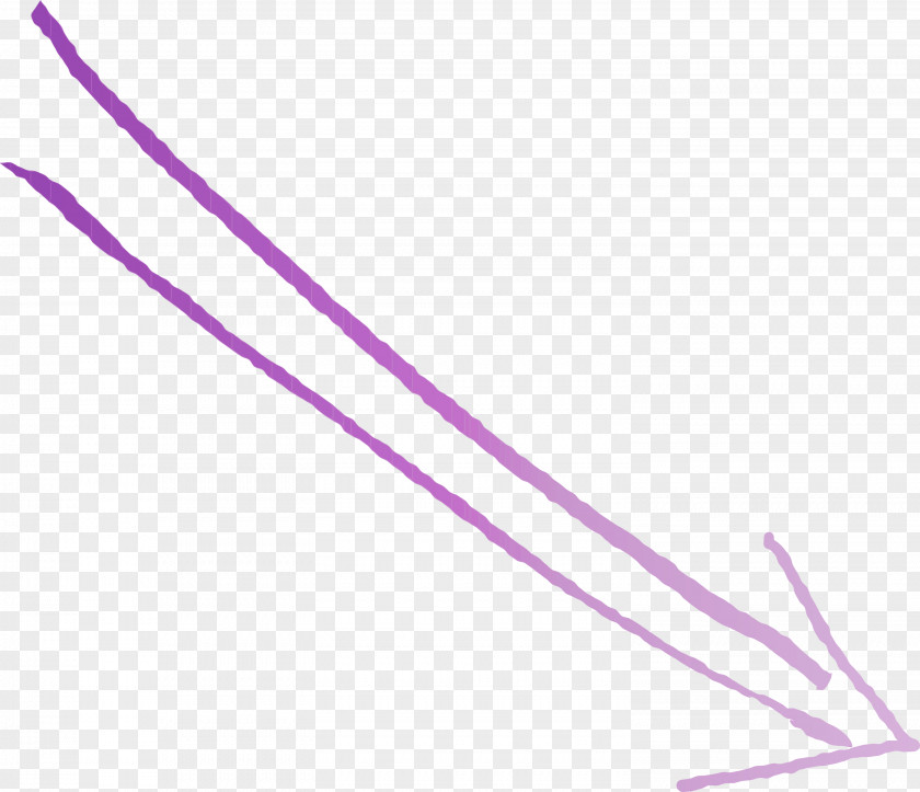 Violet Purple Line Pink Lilac PNG