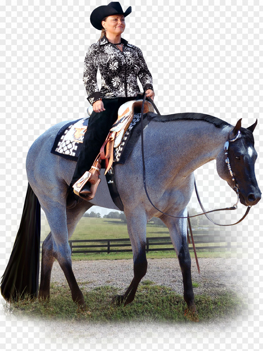 Cowgirl American Quarter Horse Stallion Western Pleasure Equestrian Riding PNG