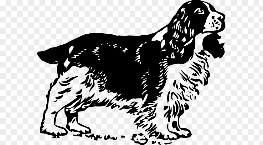 Dog Breed Spaniel Sporting Group Clip Art PNG