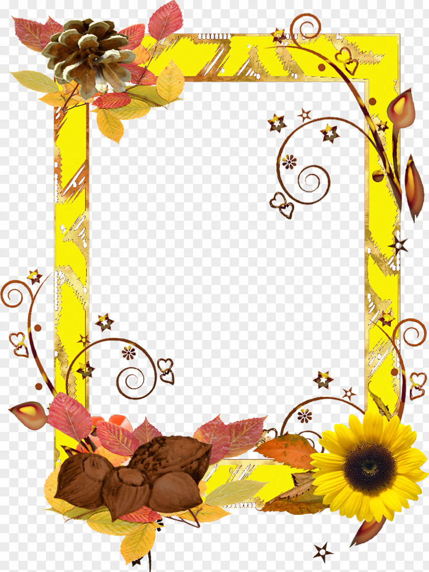 Frame Flowers Picture Frames Photography Clip Art PNG