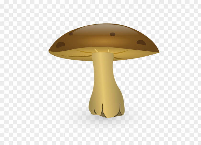 Mushroom Drawing Fungus Cartoon PNG