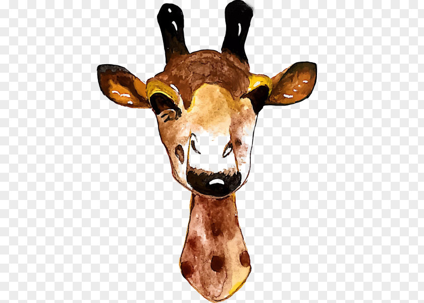 Deer Giraffe Giant Panda Elk PNG