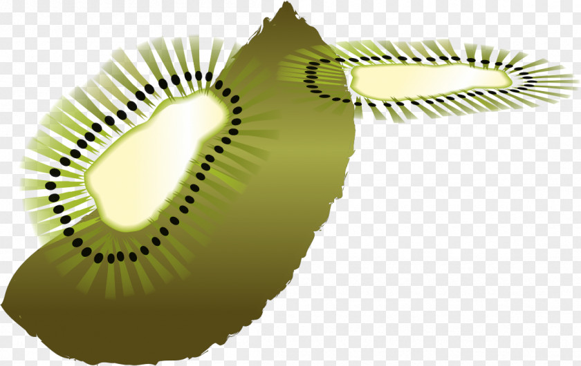 Kiwi Byrd Clip Art Image PNG