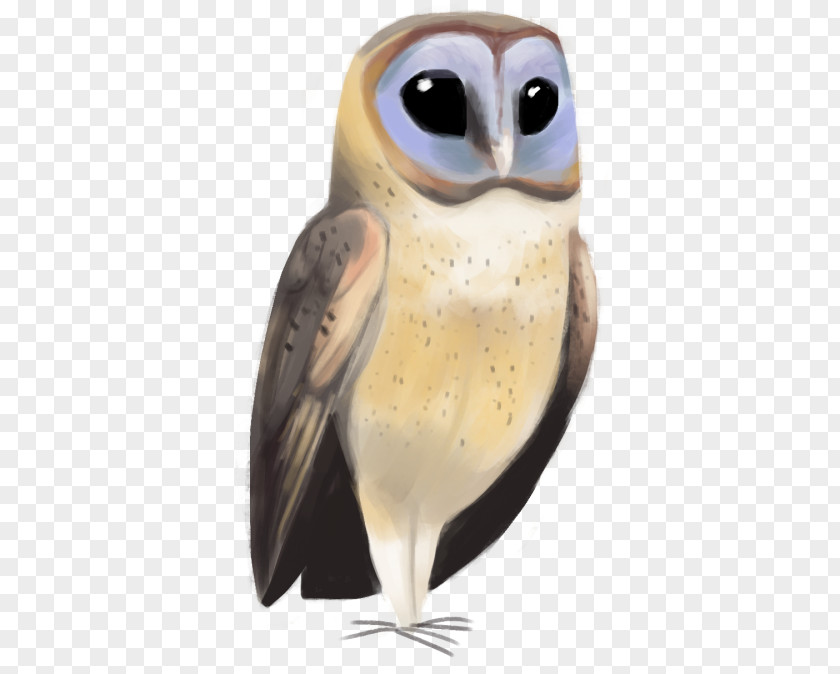 Owl Beak PNG