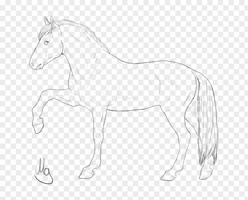 Quarter Horse Mane Foal Mustang Bridle Stallion PNG