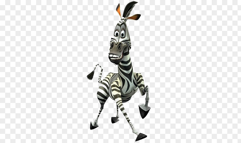 Rico Madagascar Animated Film DreamWorks Animation Iron-on PNG