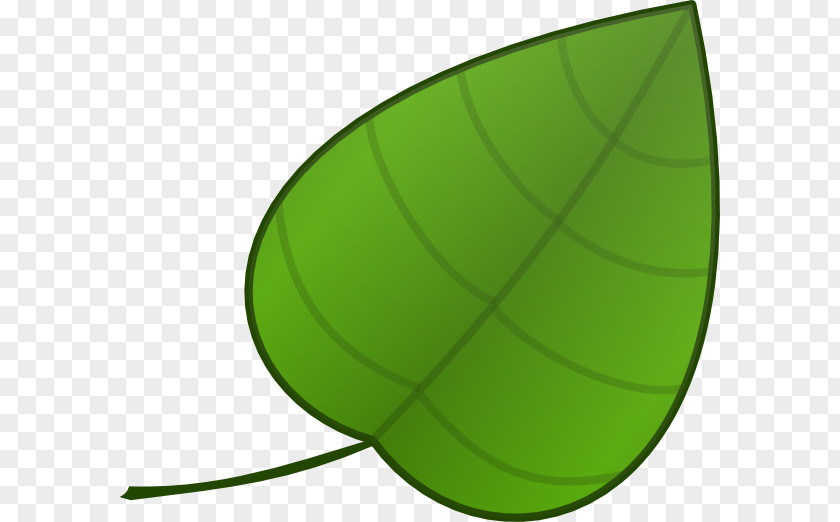 Simple Plant Cliparts Circle Angle Green Font PNG