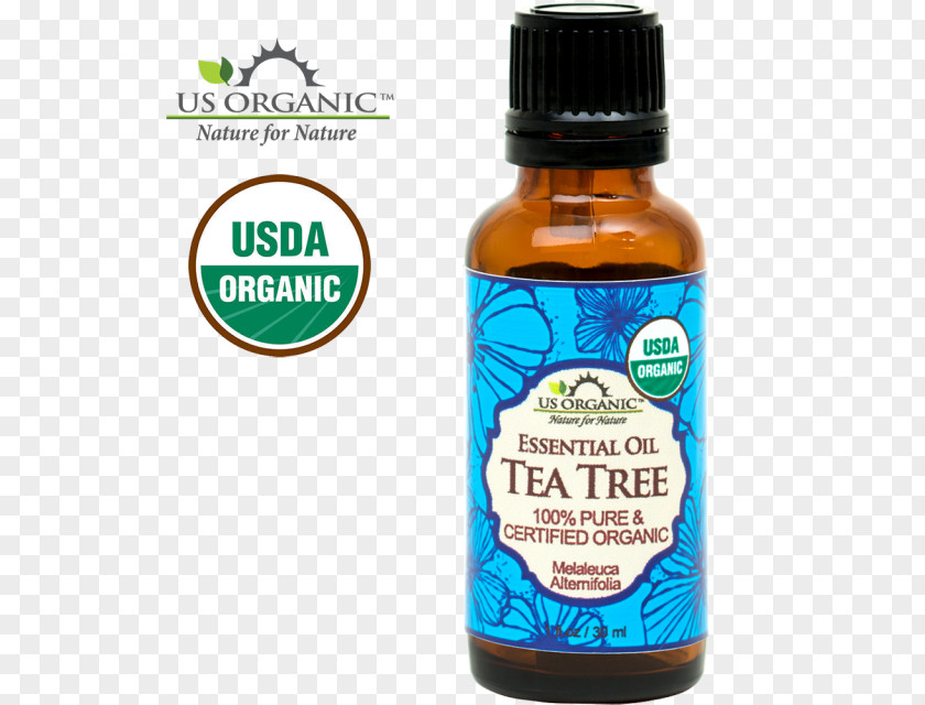 Tea Oil Organic Food Certification United States Essential PNG