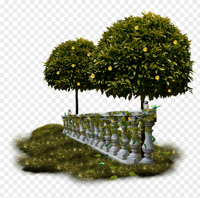 Tree Clip Art Image JPEG PNG