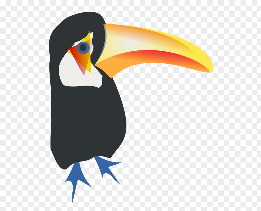 Bird Toco Toucan Piciformes Clip Art PNG